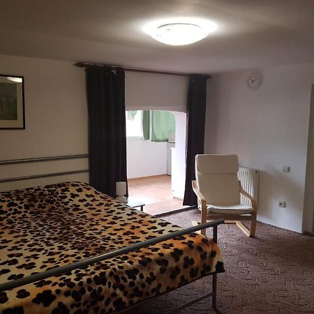 Casa Oriana Apartment Predeal Luaran gambar